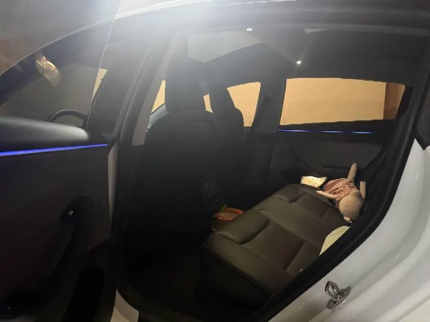 Tesla 2025 Model 3 Rear-Wheel-Drive Edition (facelift) Automatic Transmission 4