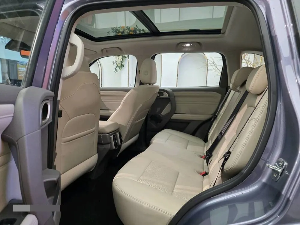 Haval 2026 model Big Dog 1.5T Border Collie Edition Automatic Transmission 3