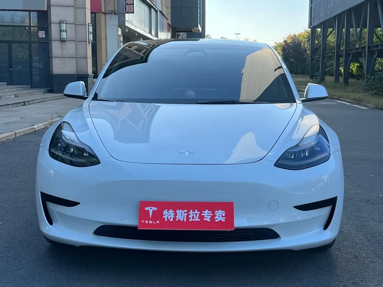 Tesla 2021 Model 3 Standard Endurance Rear Drive Upgraded Automatic Gear 2