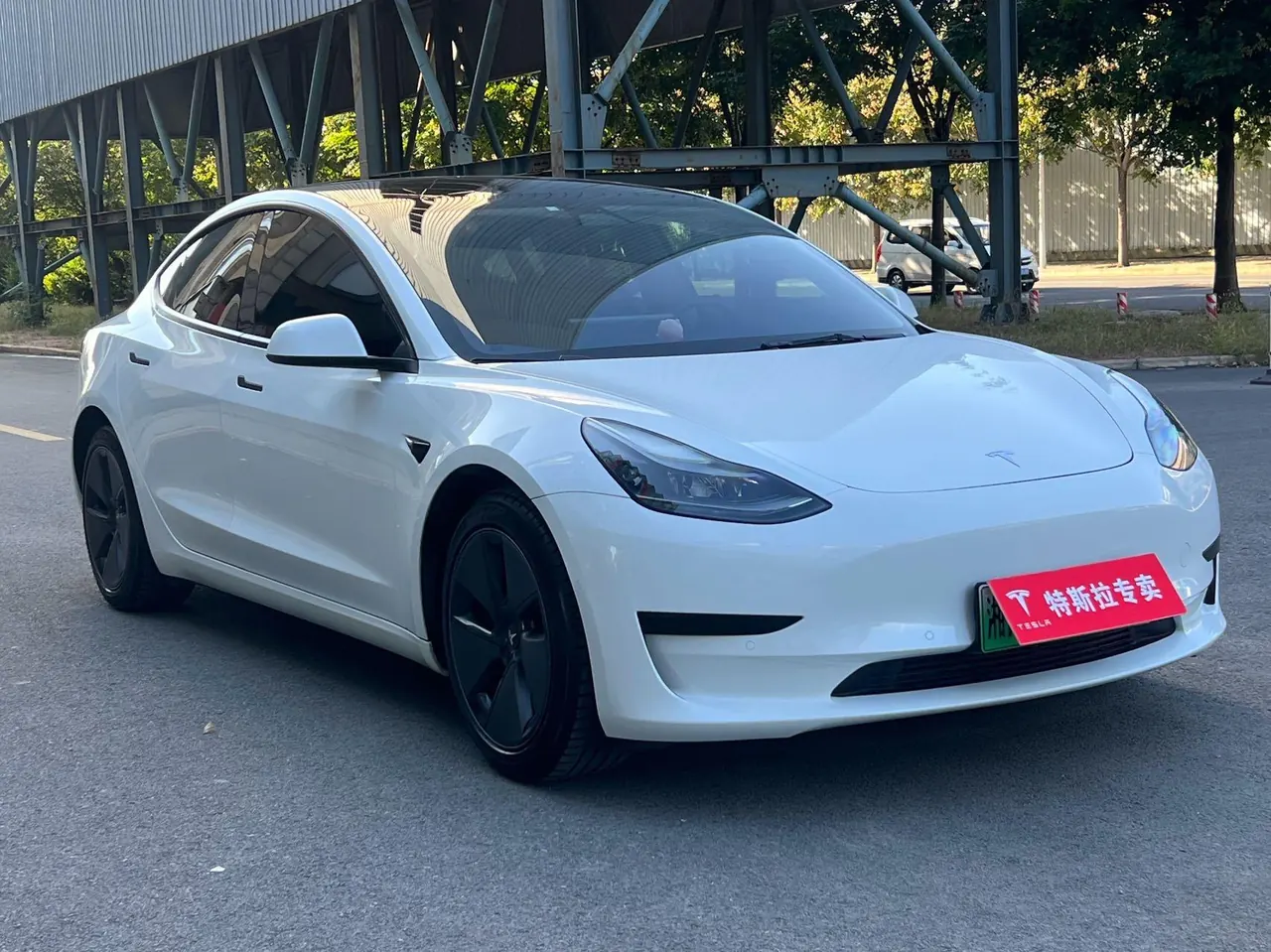 Tesla 2021 Model 3 Standard Endurance Rear Drive Upgraded Automatic Gear 3