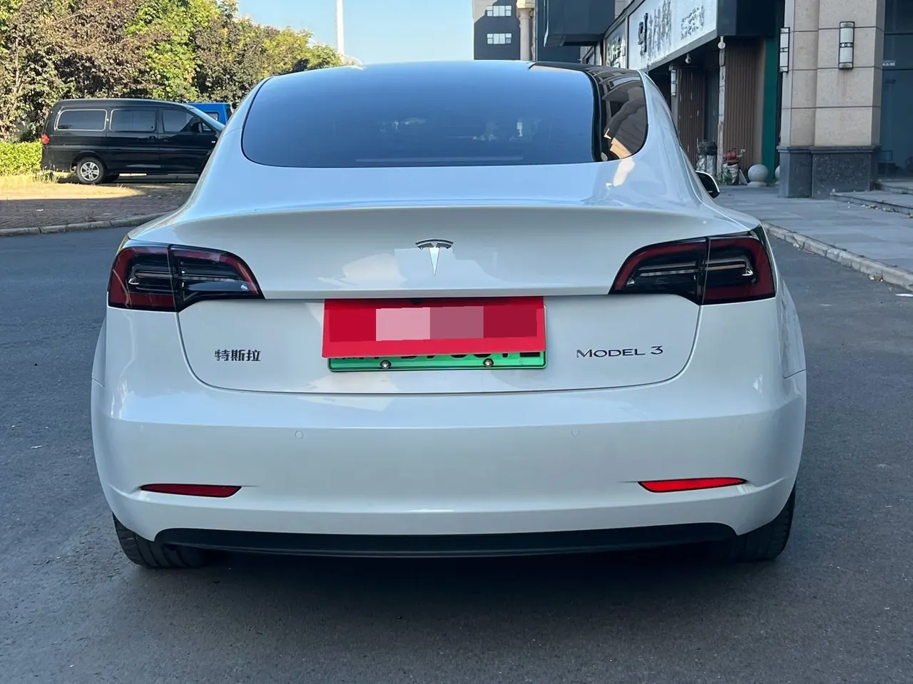 Tesla 2021 Model 3 Standard Endurance Rear Drive Upgraded Automatic Gear 8