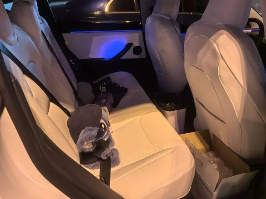 Tesla 2026 Model 3 rear-wheel drive version of automatic transmission 5