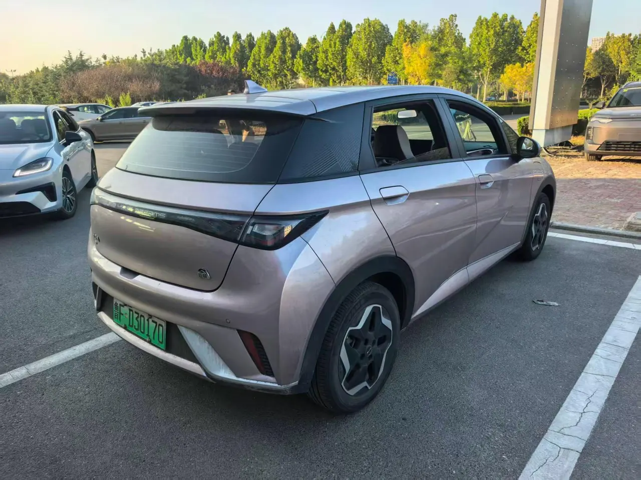 BYD 2021 Dolphin 405km Fashion Edition Automatic 5