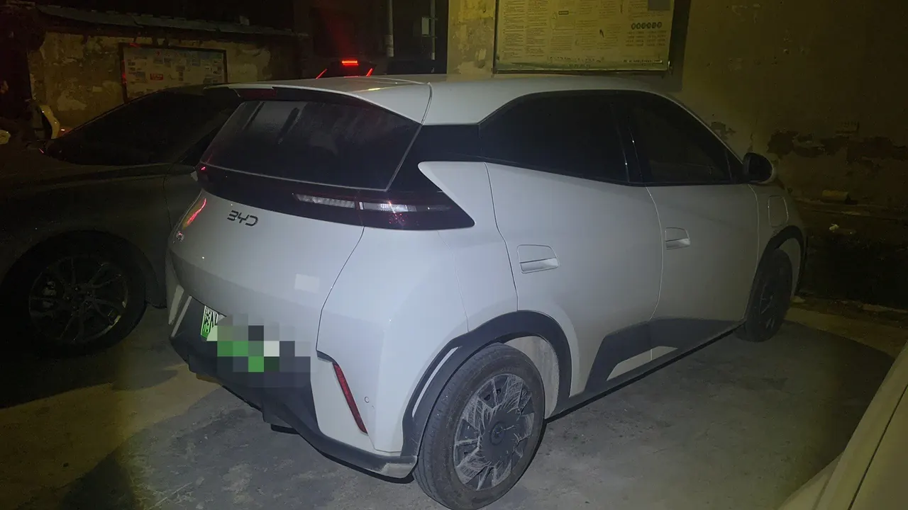 BYD 2025 seagulls 305km dynamic version of automatic gear 5