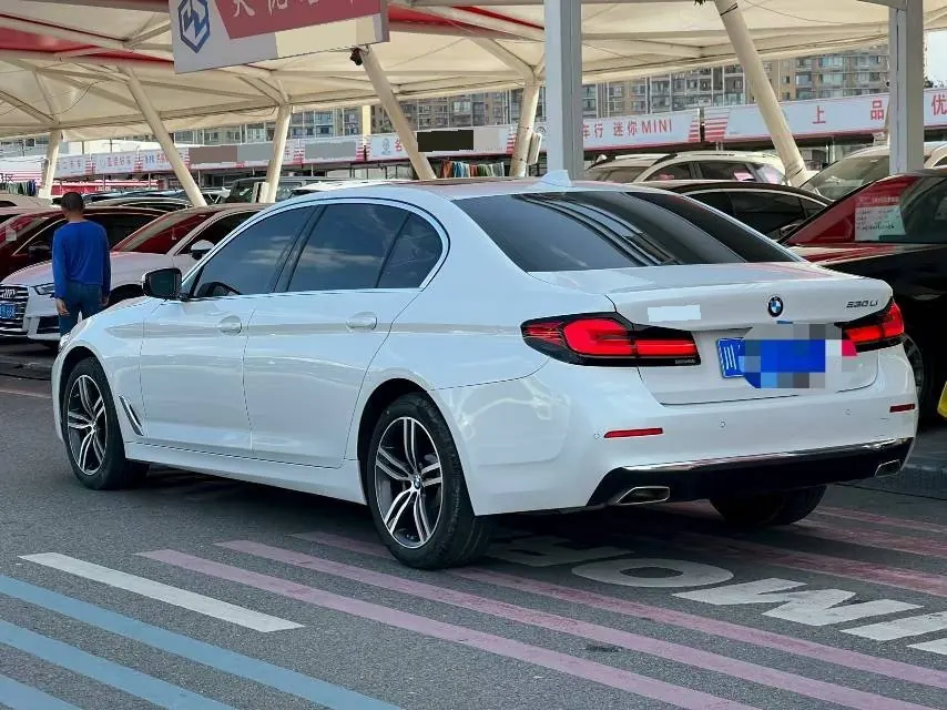 BMW 5 Series 2021 530Li 2.0T Leading Luxury Suit Automatic Gear 2