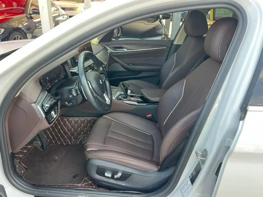 BMW 5 Series 2021 530Li 2.0T Leading Luxury Suit Automatic Gear 3