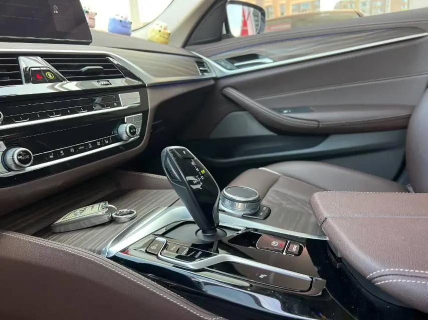 BMW 5 Series 2021 530Li 2.0T Leading Luxury Suit Automatic Gear 6