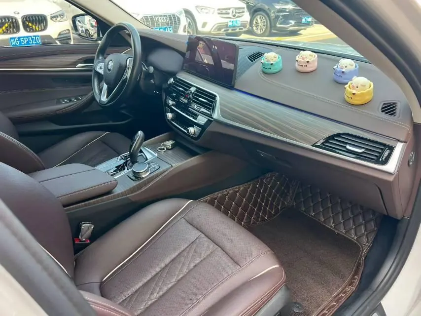 BMW 5 Series 2021 530Li 2.0T Leading Luxury Suit Automatic Gear 7