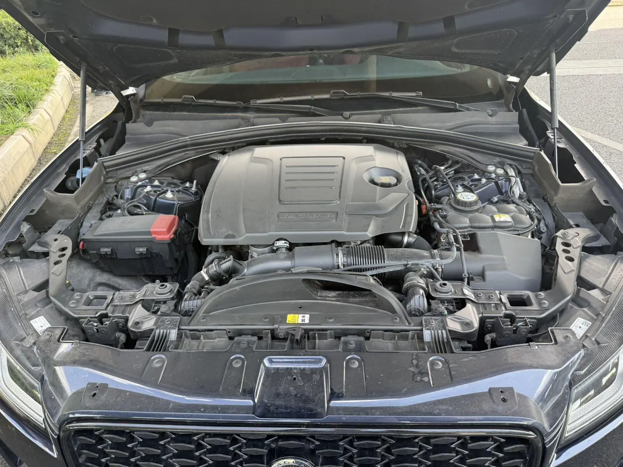 Jaguar F-PACE (Imported) 2024 F-PACE 2.0T P250 R-Dynamic SE Automatic Gear 6