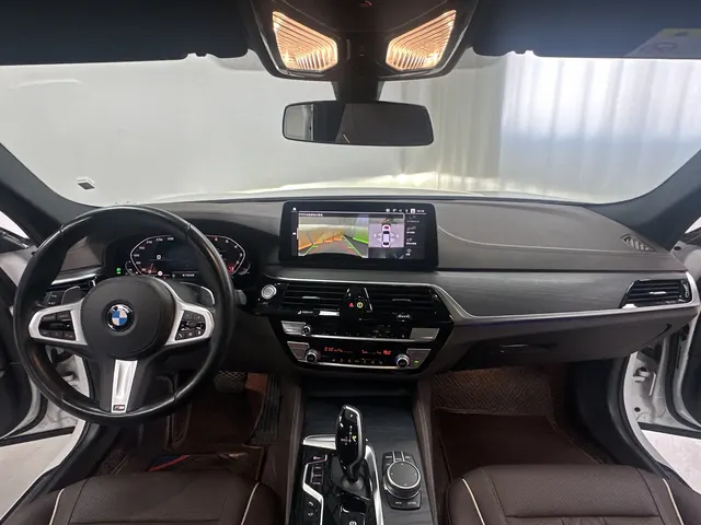 BMW 5 Series 2021 530Li 2.0T Leading Luxury Suit Automatic Gear 13