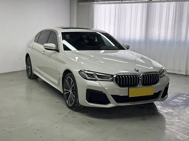 BMW 5 Series 2021 530Li 2.0T Leading Luxury Suit Automatic Gear 3