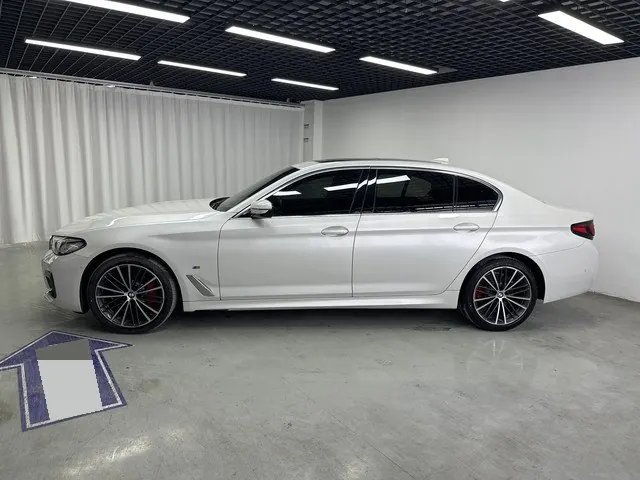 BMW 5 Series 2021 530Li 2.0T Leading Luxury Suit Automatic Gear 5