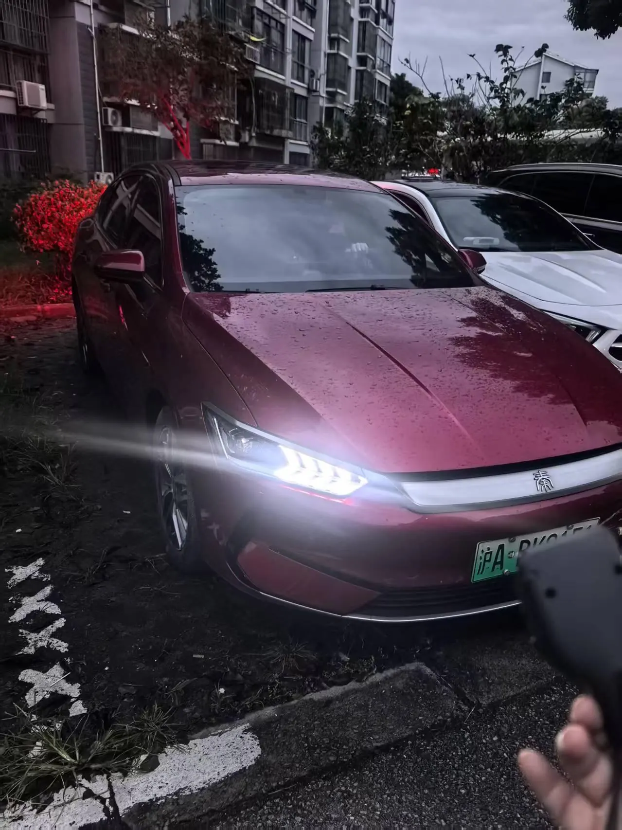BYD 2021 Qin PLUS EV 400KM Luxury Automatic Gear 2