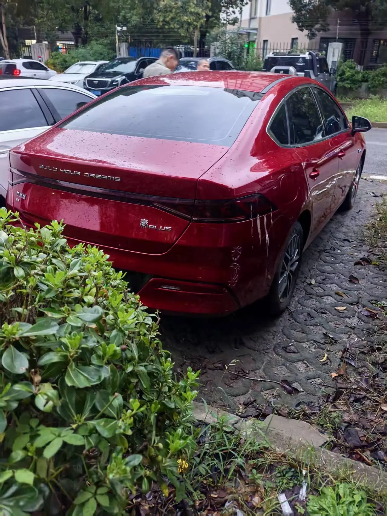 BYD 2021 Qin PLUS EV 400KM Luxury Automatic Gear 4