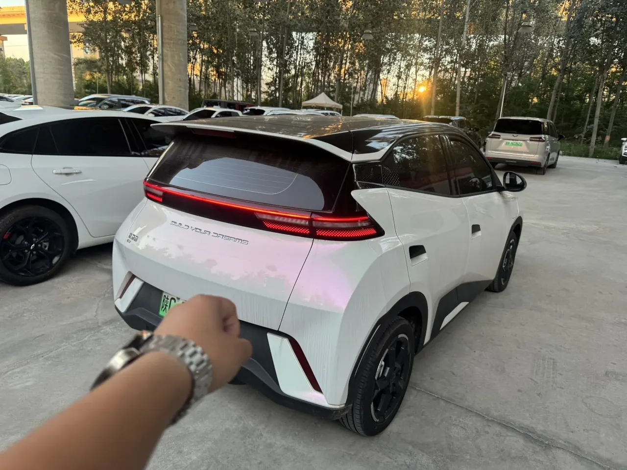 BYD 2024 Seagull Glory Edition 405km Flying Edition Automatic Gear 4