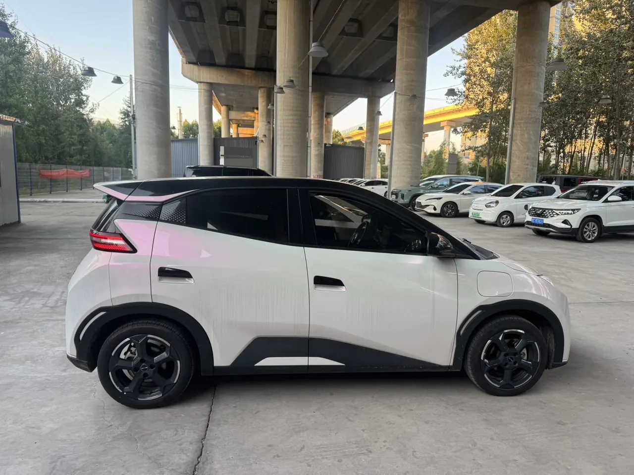 BYD 2024 Seagull Glory Edition 405km Flying Edition Automatic Gear 5