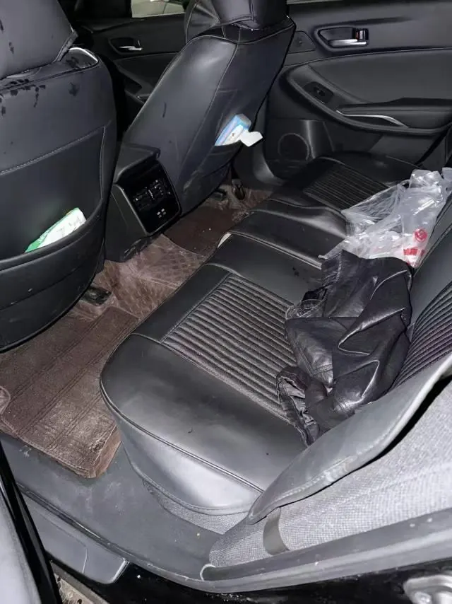 Toyota 2024 Asian Dragon 2.0 Stepless Enterprising Edition Automatic Gear 4