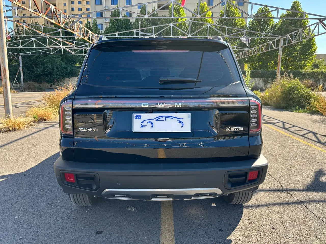 Haval 2026 model Big Dog 1.5T Border Collie Edition Automatic Transmission 4