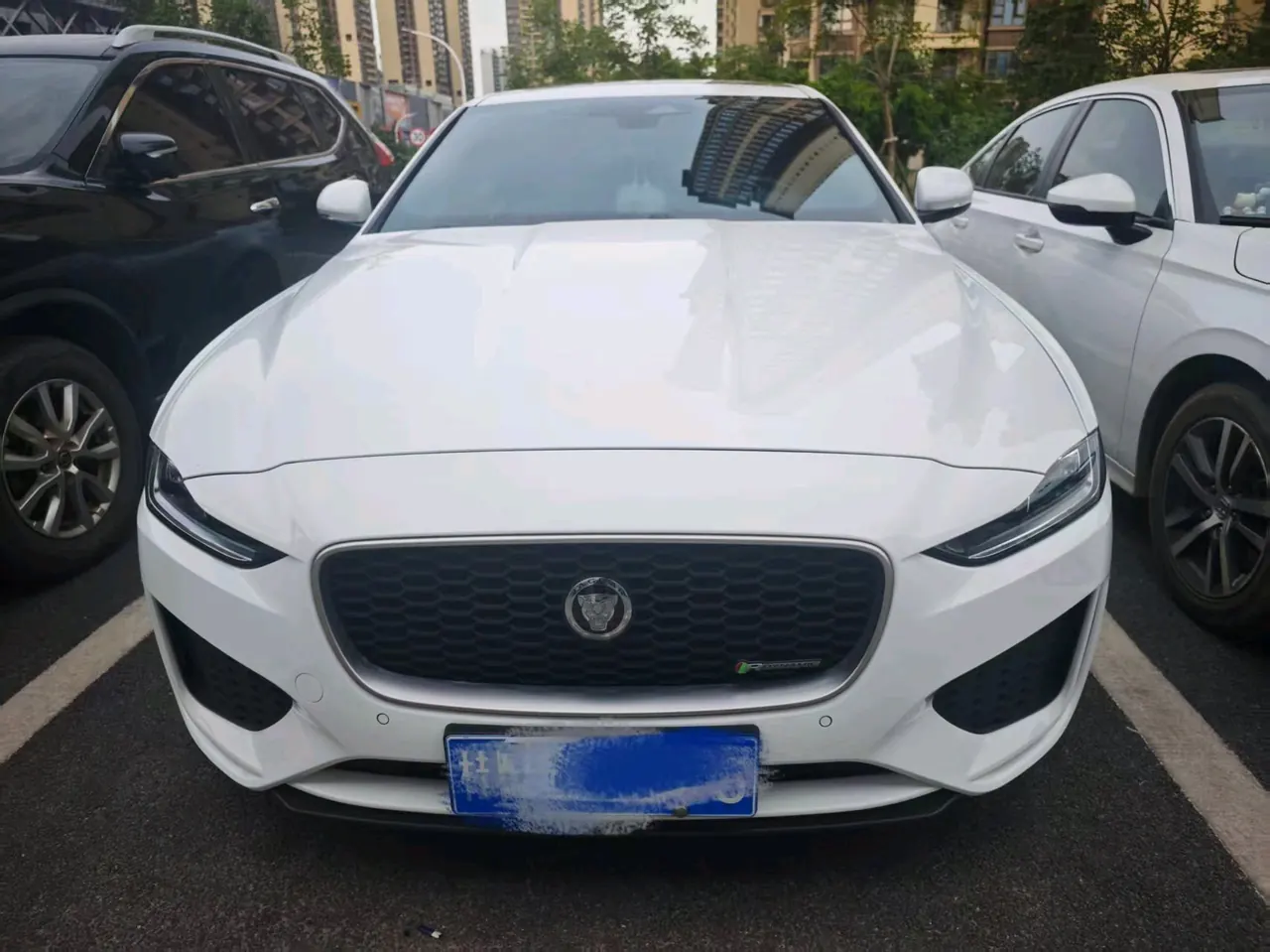 Jaguar 2021 XEL 2.0T 250PS R-DYNAMIC S Enterprising Sports Edition Automatic Gear 2