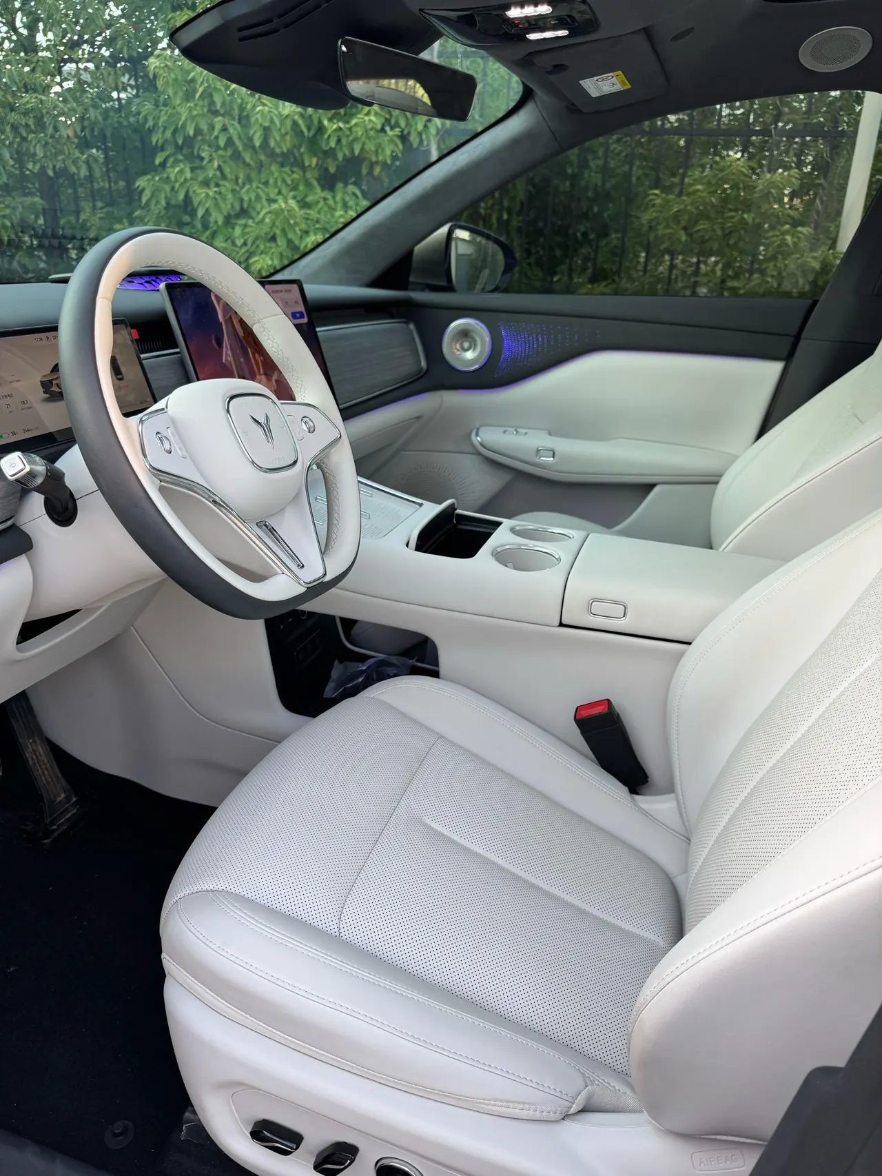 Voyah 2025 bosom friends rear drive dry Kun version of automatic gear 4