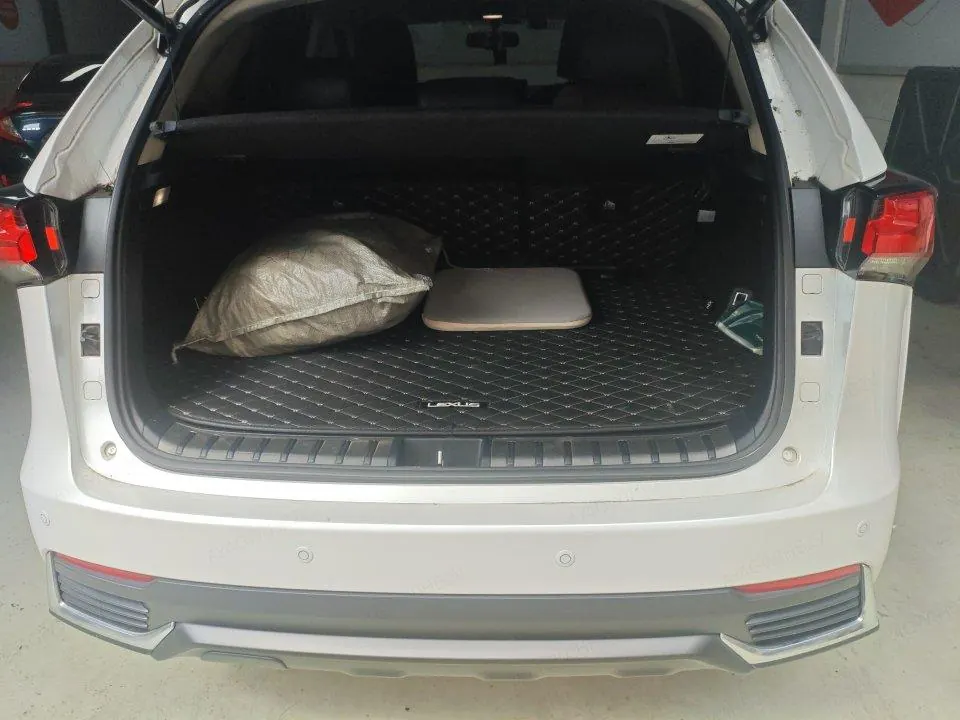 Lexus NX (Imported) 2020 NX200 2.0 Stepless Front Edition Automatic Gear 9