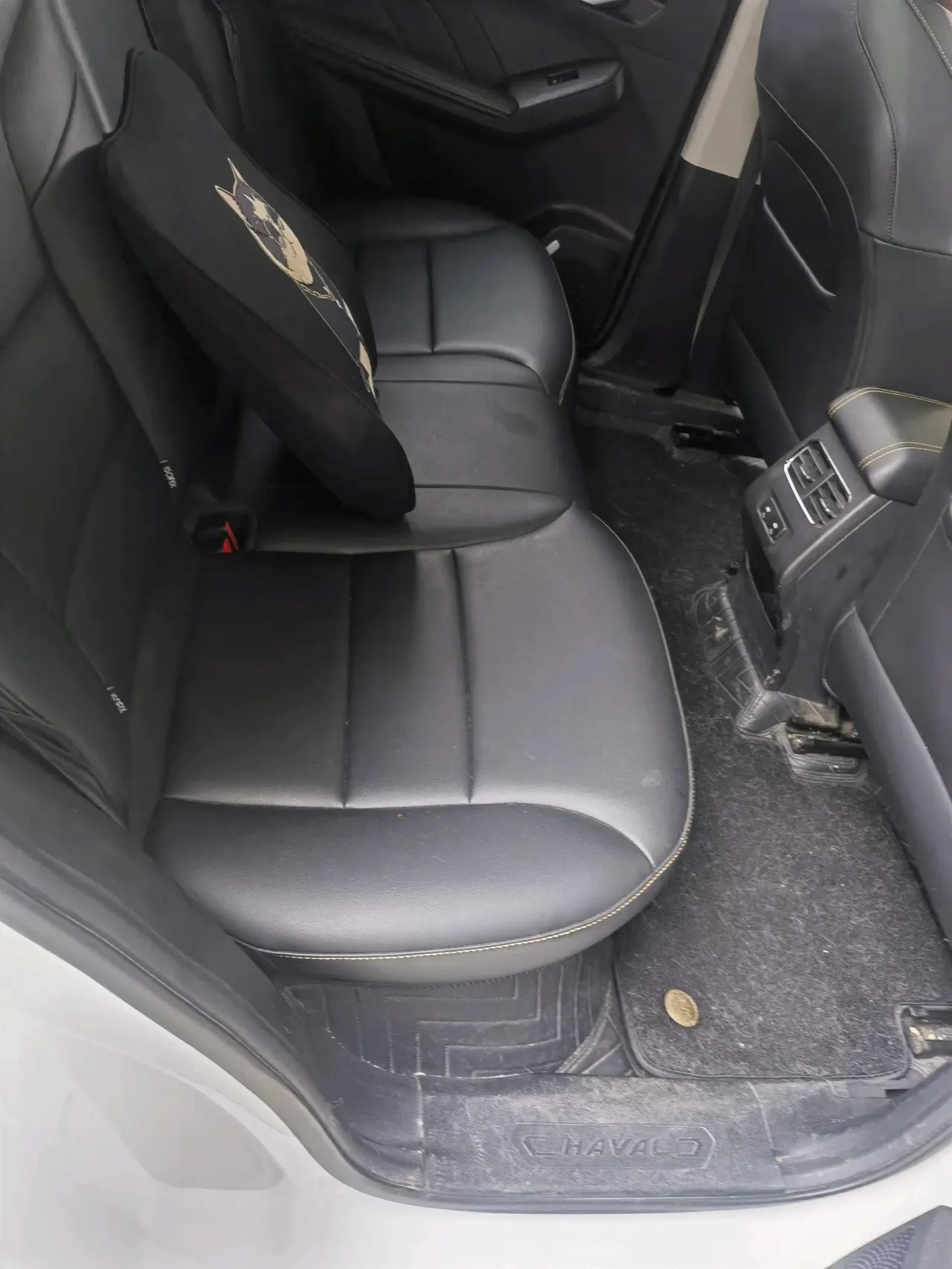 Haval 2022 red rabbit 1.5T strength version copper rabbit automatic gear 5