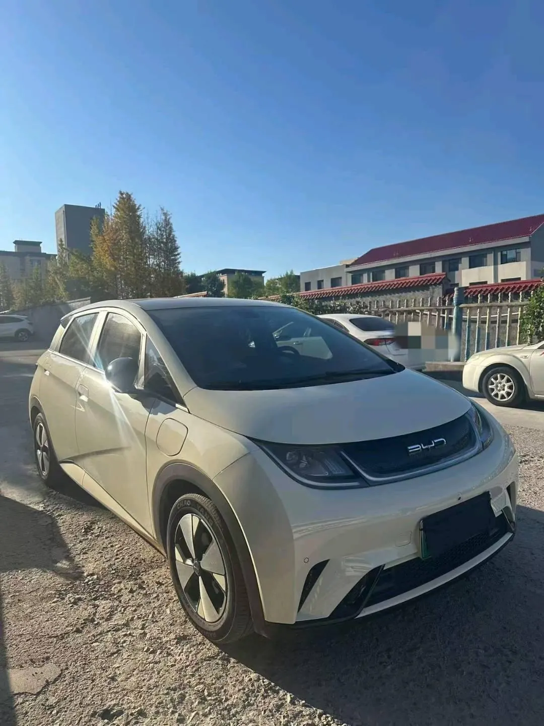 BYD 2023 Dolphins 420km Free Edition Automatic 2