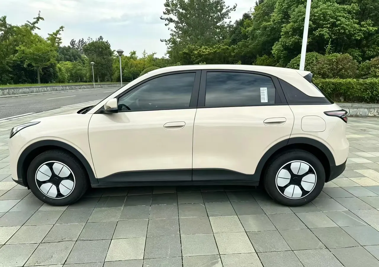 Geely 2025 Star Wish 310km Youth Edition Automatic Gear 5
