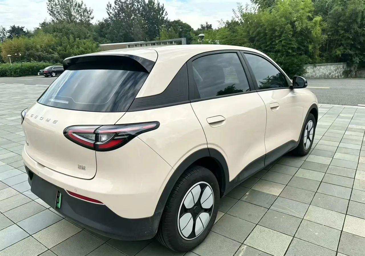 Geely 2025 Star Wish 310km Youth Edition Automatic Gear 9