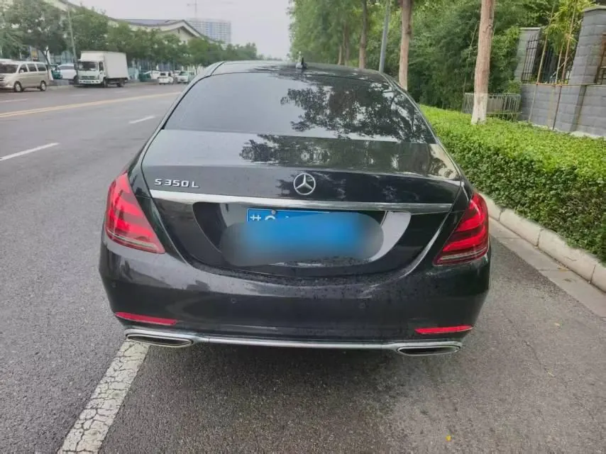 Mercedes Benz S-Class (Imported) 2020 S 350 L 48V 3.0T Commercial Zhenzang Edition Automatic Gear 2