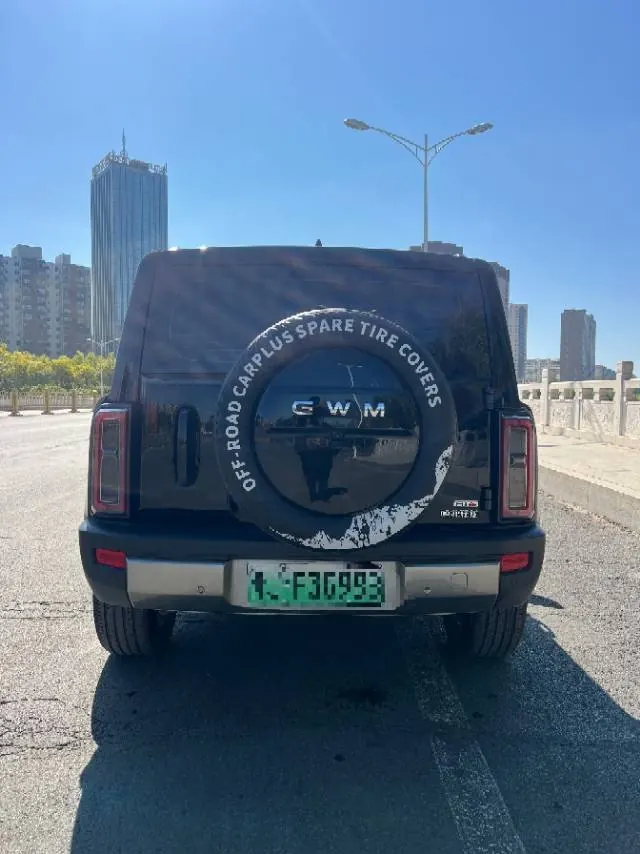 Haval 2026 Raptors Hi4 1.5T 105 Pro Automatic Gear 6