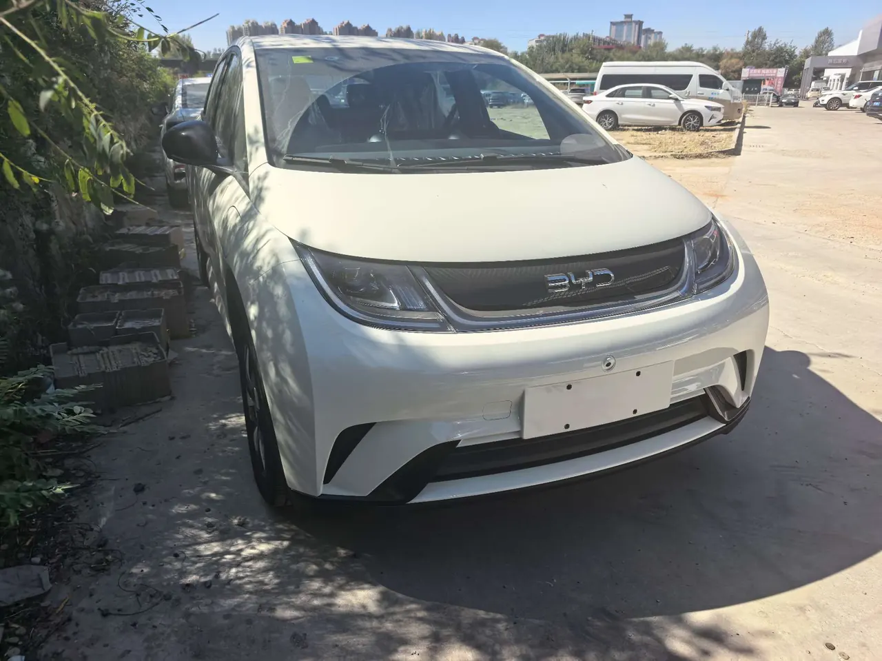 BYD 2025 Dolphins 420km Free Edition Automatic 2