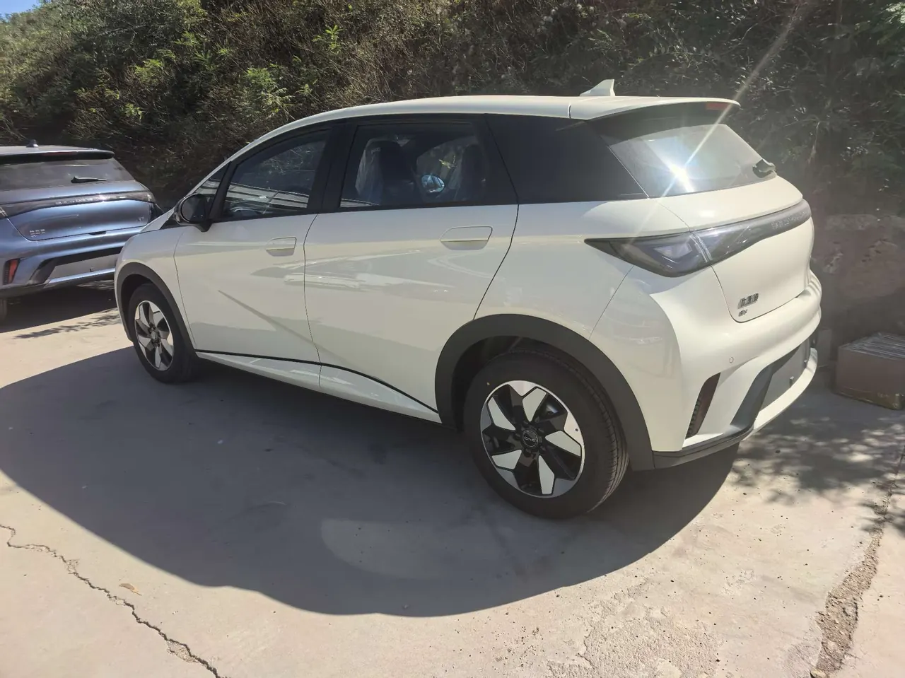 BYD 2025 Dolphins 420km Free Edition Automatic 6