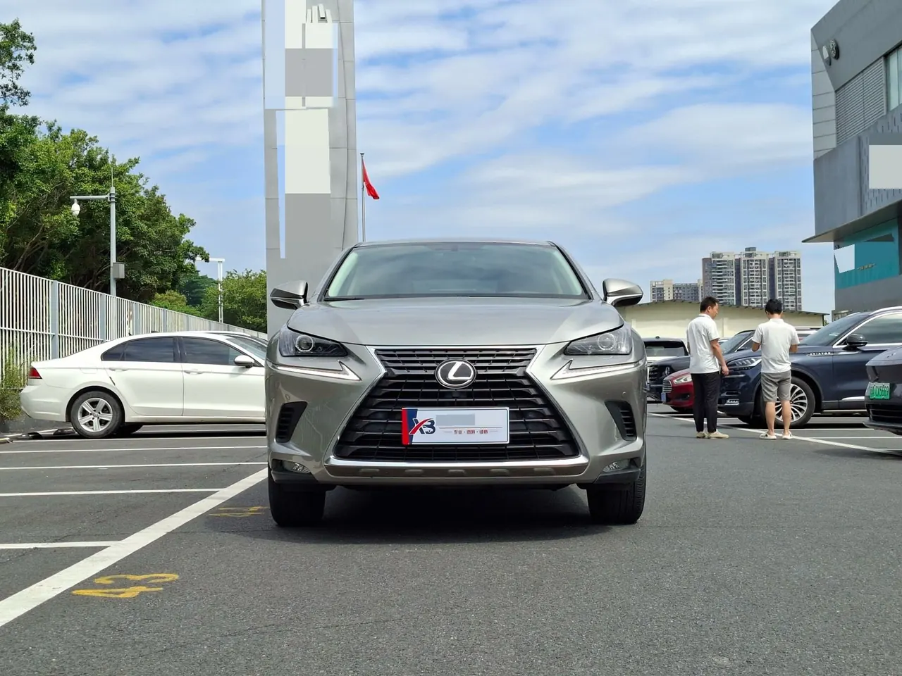 Lexus NX (Imported) 2020 NX200 2.0 Stepless Front Edition Automatic Gear 9