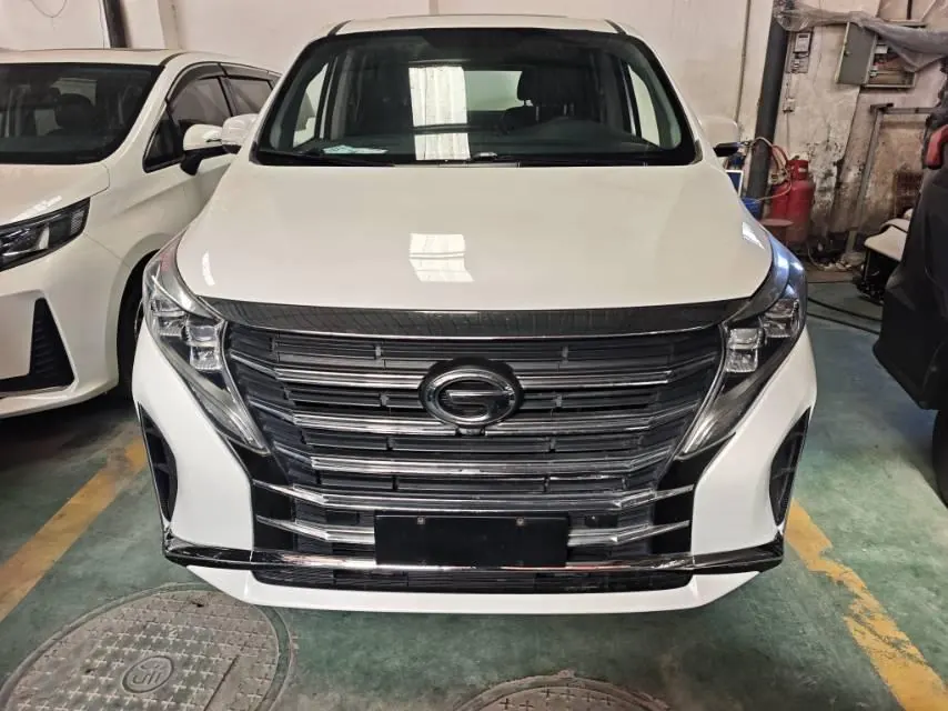 GAC Trumpchi 2021 M8 2.0T 390T Prestige Series Luxury Edition, Automatic Transmission 2
