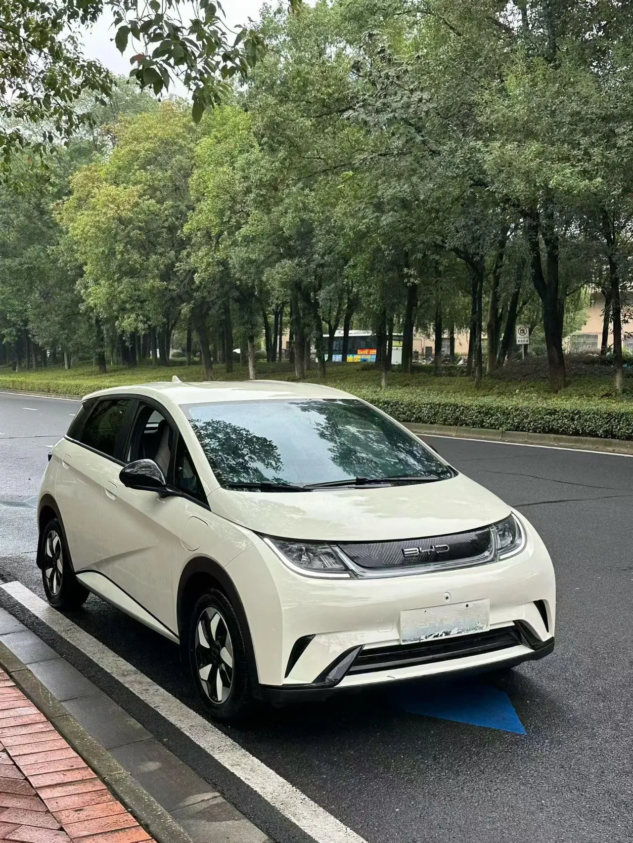 BYD 2025 Dolphin 420km Vital Edition Automatic Gear 2