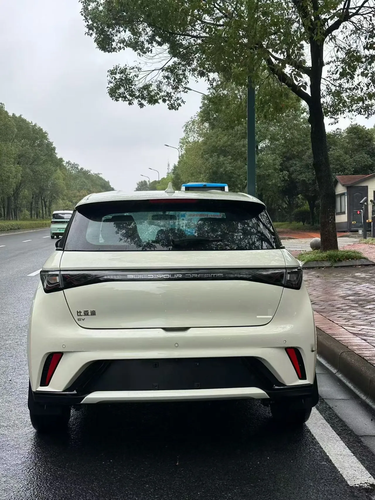 BYD 2025 Dolphin 420km Vital Edition Automatic Gear 4