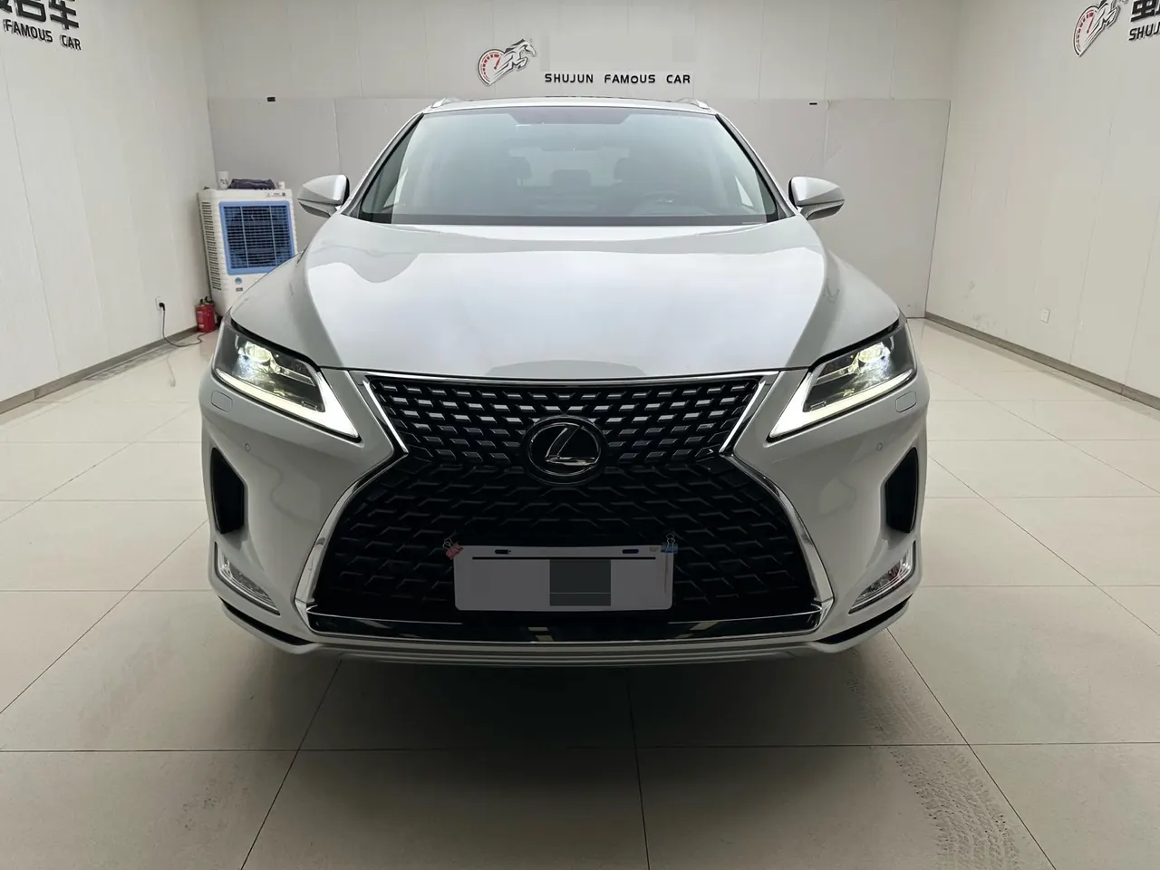 Lexus RX (Imported) 2020 RX300 2.0T Two-Drive Elite Automatic Gear 2
