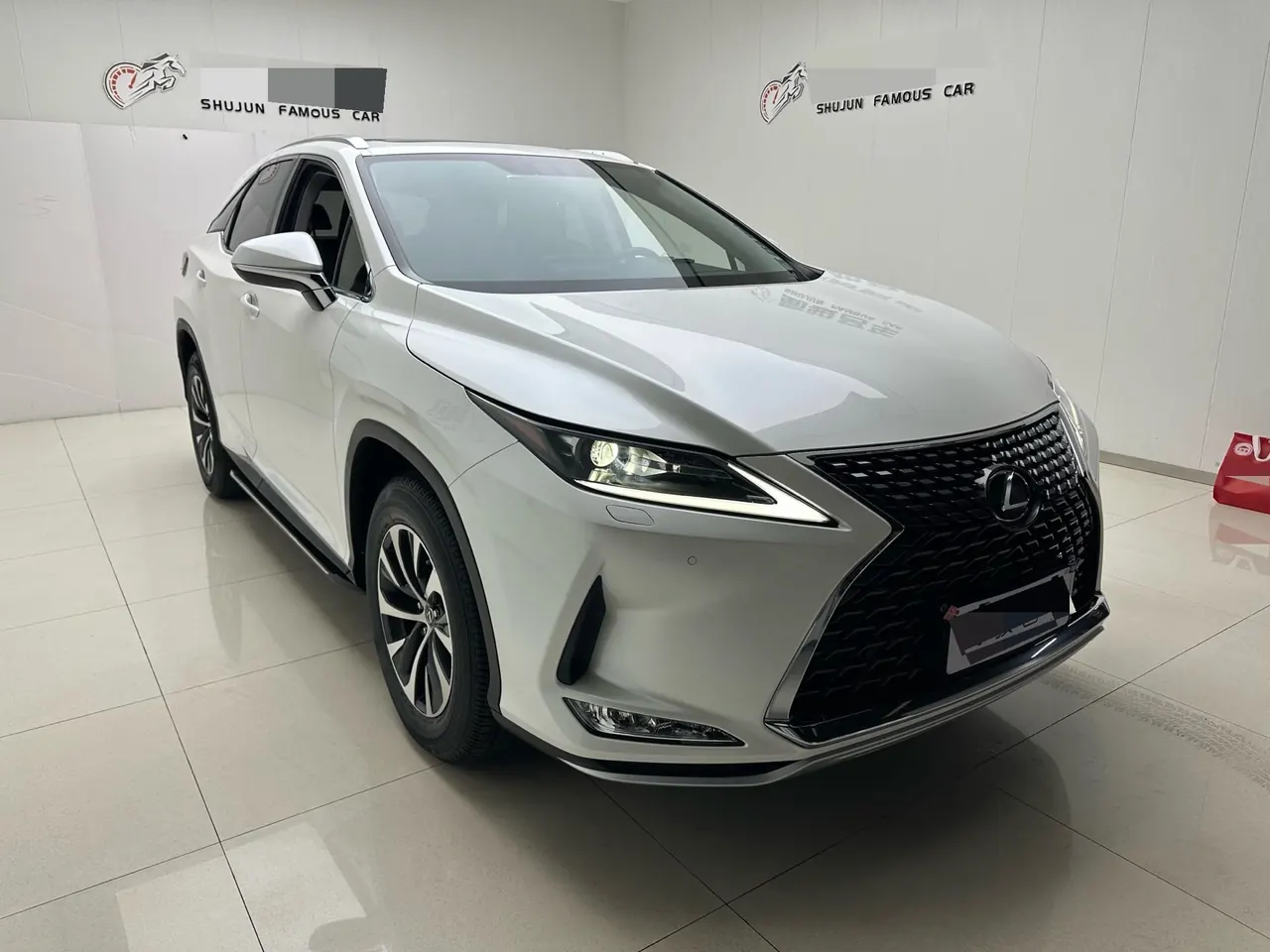 Lexus RX (Imported) 2020 RX300 2.0T Two-Drive Elite Automatic Gear 3