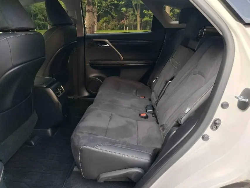 Lexus RX (Imported) 2020 RX300 2.0T Two-Drive Elite Edition (Revised) Automatic Gear 5