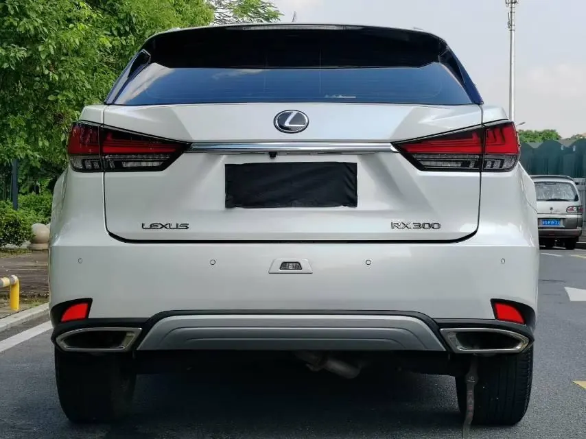Lexus RX (Imported) 2020 RX300 2.0T Two-Drive Elite Edition (Revised) Automatic Gear 8