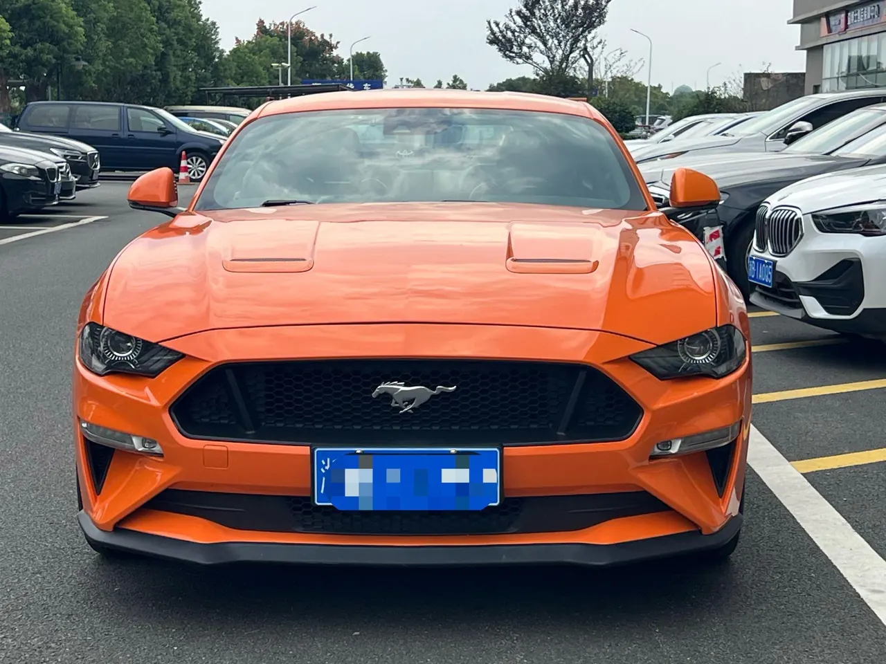 Ford Yema (Imported) 2020 Yema S 2.3T EcoBoost Shadow Performance Advanced Edition Automatic Gear 7