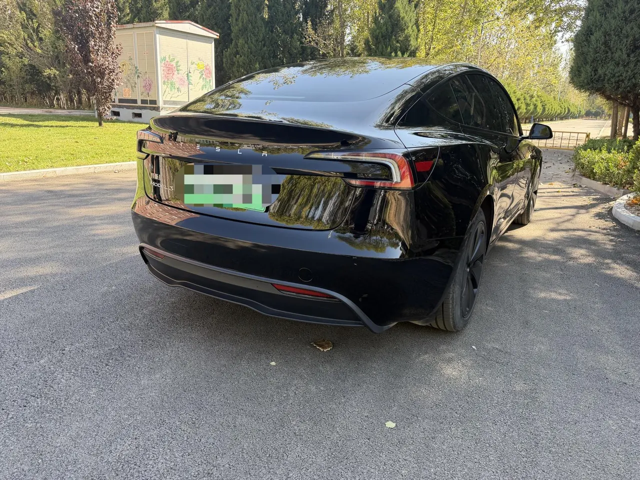 Tesla 2023 Model 3 Rejuvenation Edition Rear Wheel Drive Automatic Transmission 7