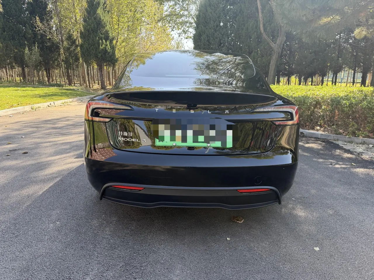 Tesla 2023 Model 3 Rejuvenation Edition Rear Wheel Drive Automatic Transmission 8