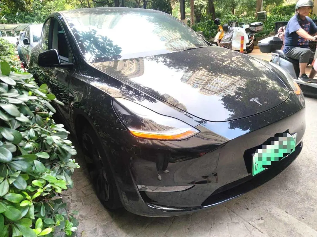Tesla 2021 Model Y Standard Endurance Rear Drive Automatic Gear 5
