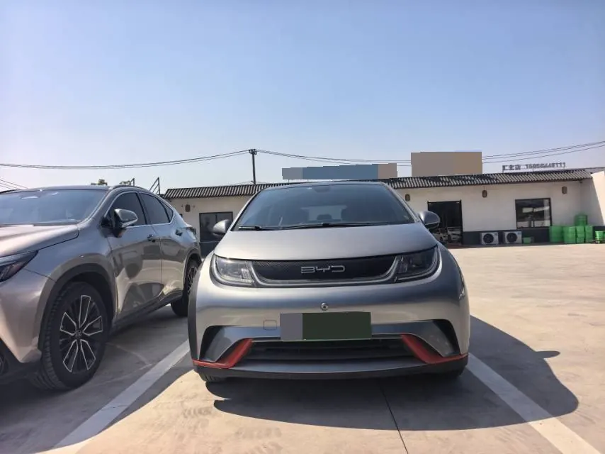 BYD 2023 Dolphin 420km Fashion Edition Automatic 2