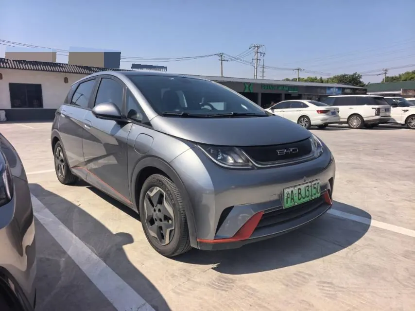 BYD 2023 Dolphin 420km Fashion Edition Automatic 3