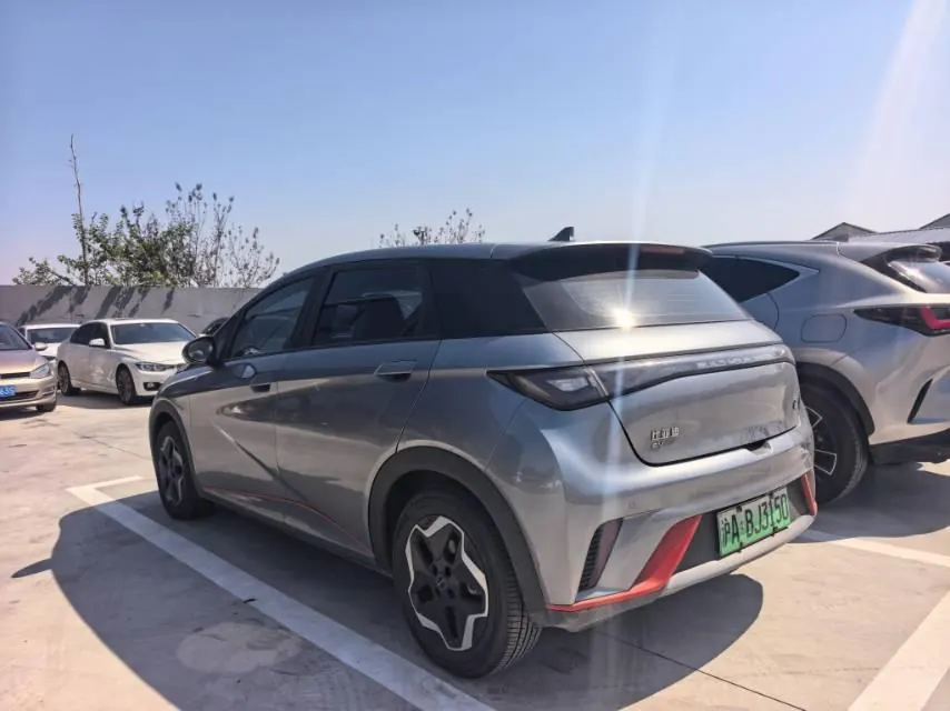 BYD 2023 Dolphin 420km Fashion Edition Automatic 8