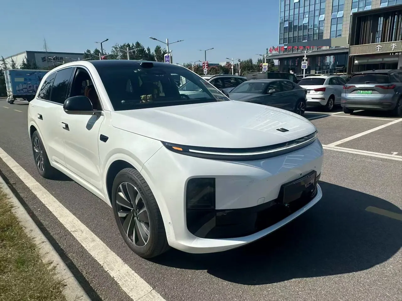 Li 2025 L6 Pro Intelligent Rejuvenation Automatic Gear 3