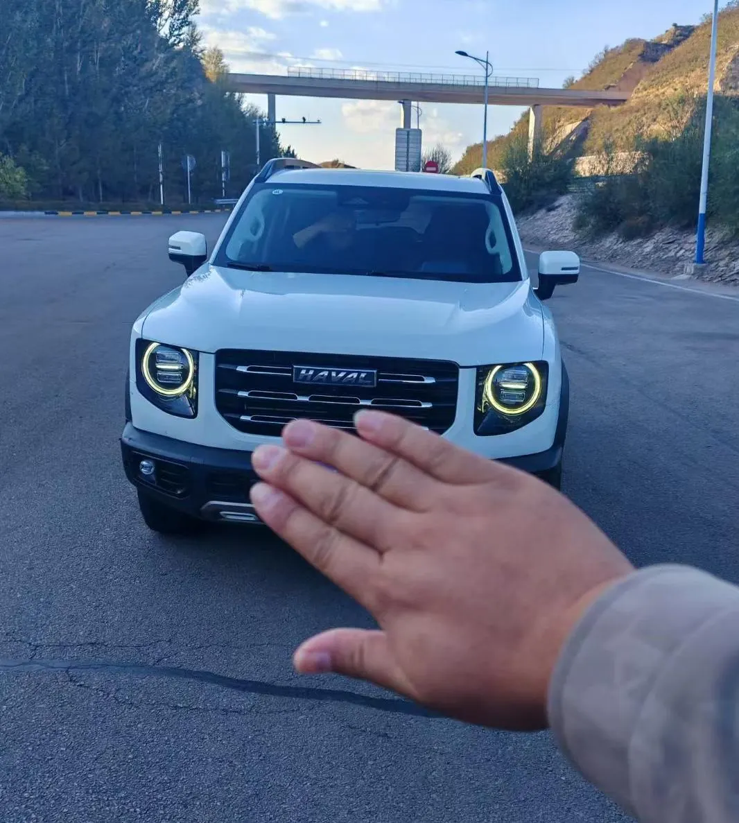 Haval 2021 Big Dogs 1.5T Border Animal Husbandry Wangcai Edition Automatic Gear 2